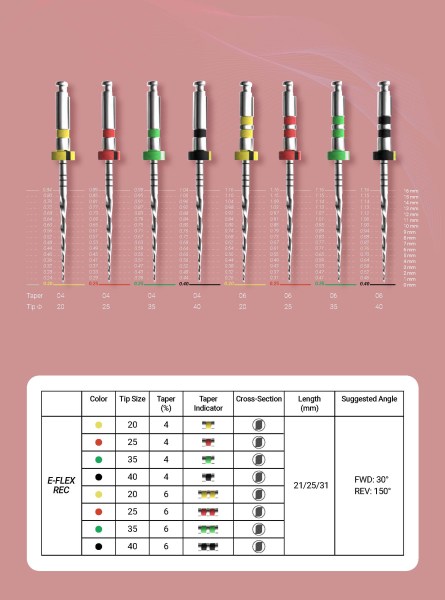 E-FLEX REC EN kicsi_Oldal_3